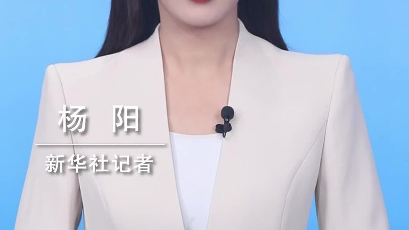 区块链应用开发外包：揭秘费用构成与决策关键